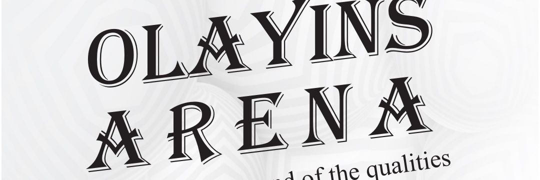 olayinsarena's profile banner image