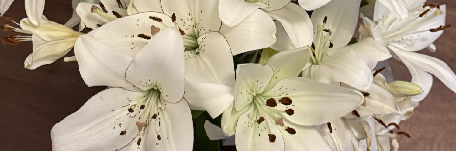 xswani's profile banner image