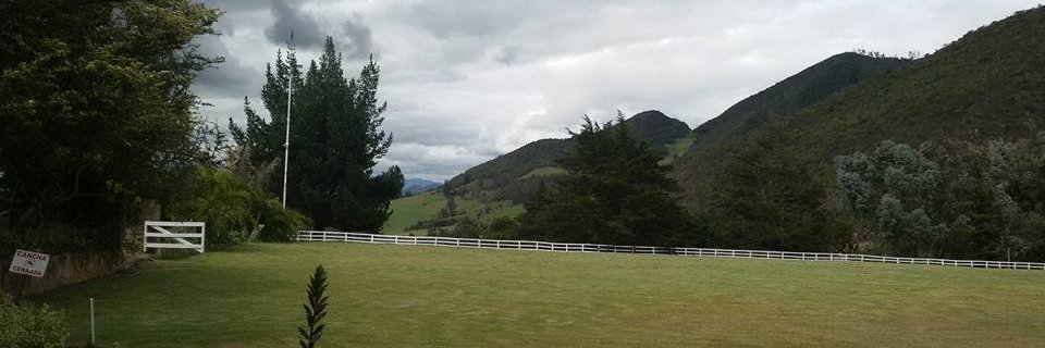 Lorena Cudris-Torres banner