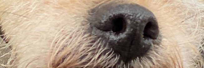 cruewell's profile banner image