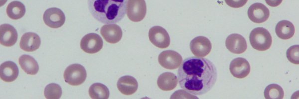 HSLuu_Pathology Profile Banner