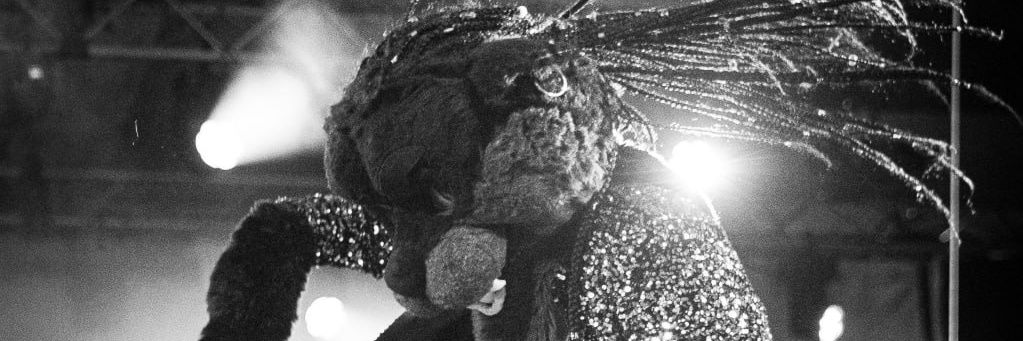 FaolanPanriel's profile banner image
