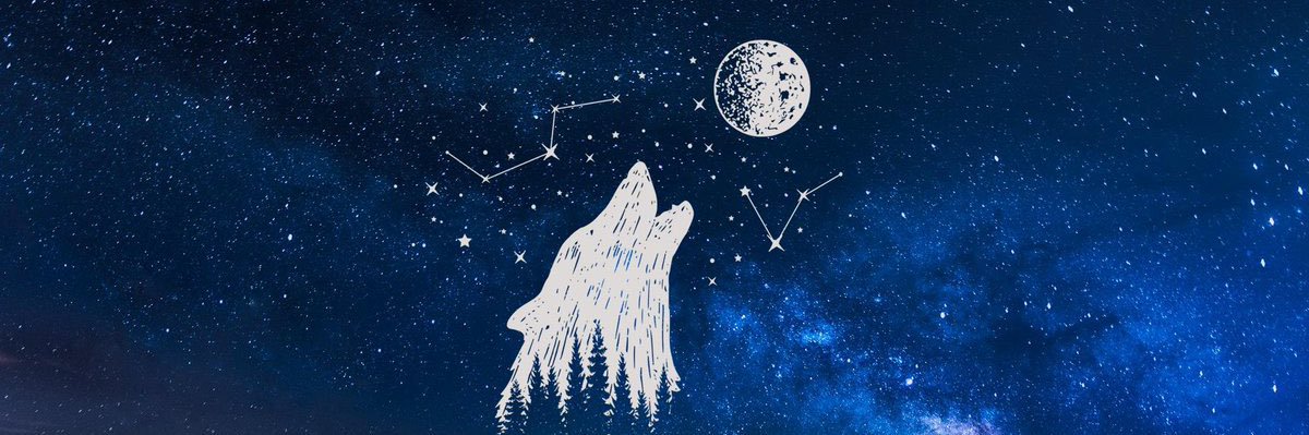 The Wolf of Crypto 🐺 banner