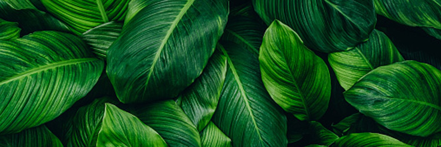 grv955's profile banner image