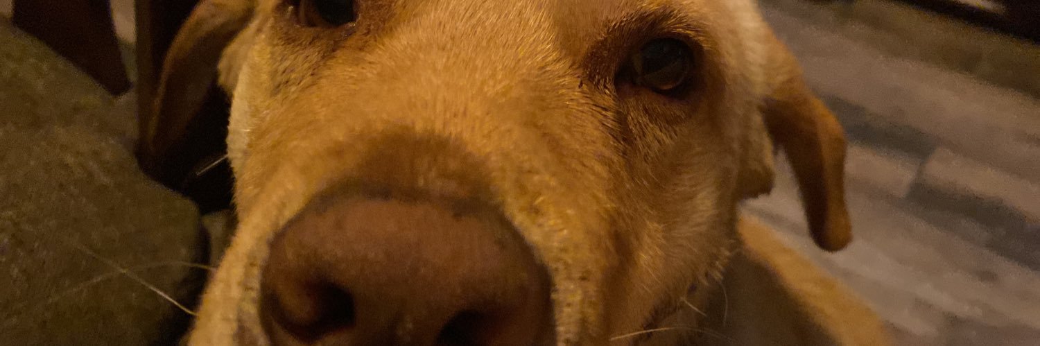 mextli__cast's profile banner image