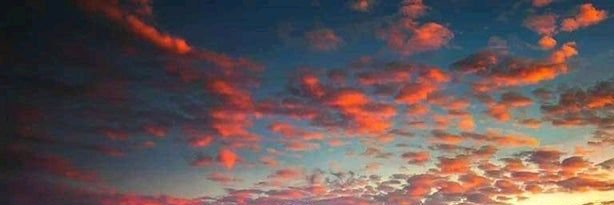 anndyaptr's profile banner image