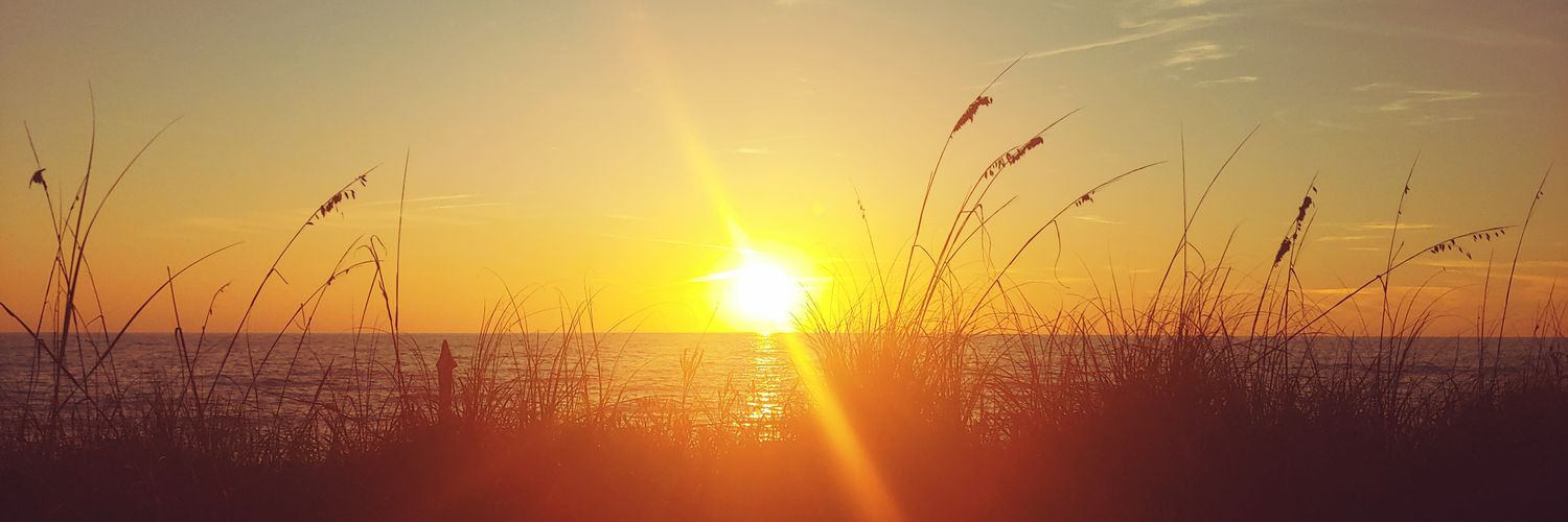 Shelly Sheed ⭐⭐⭐ Hold The Line banner