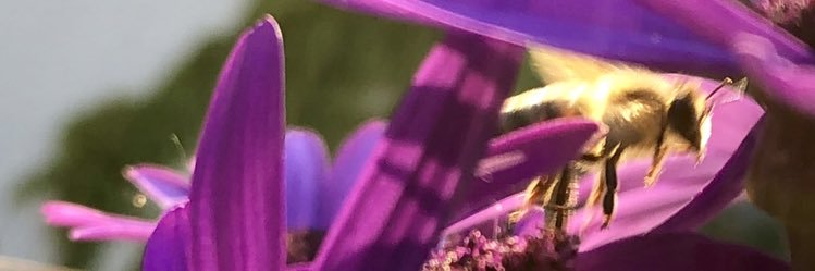 Sander Chan 陈文山 (he/him) 🇺🇦💚🍉 banner