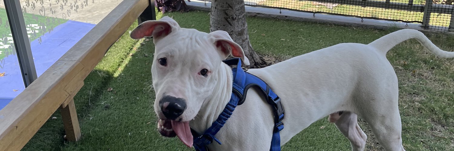 LDonado_04's profile banner image