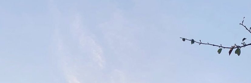 ris_25__'s profile banner image
