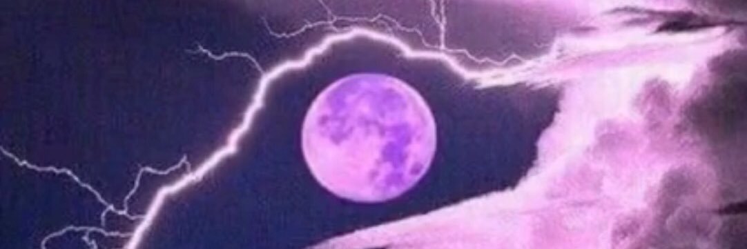 32_zimmerman's profile banner image