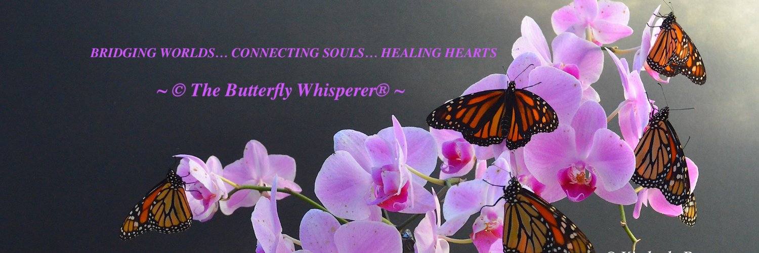 Butterfly Whisperer® banner