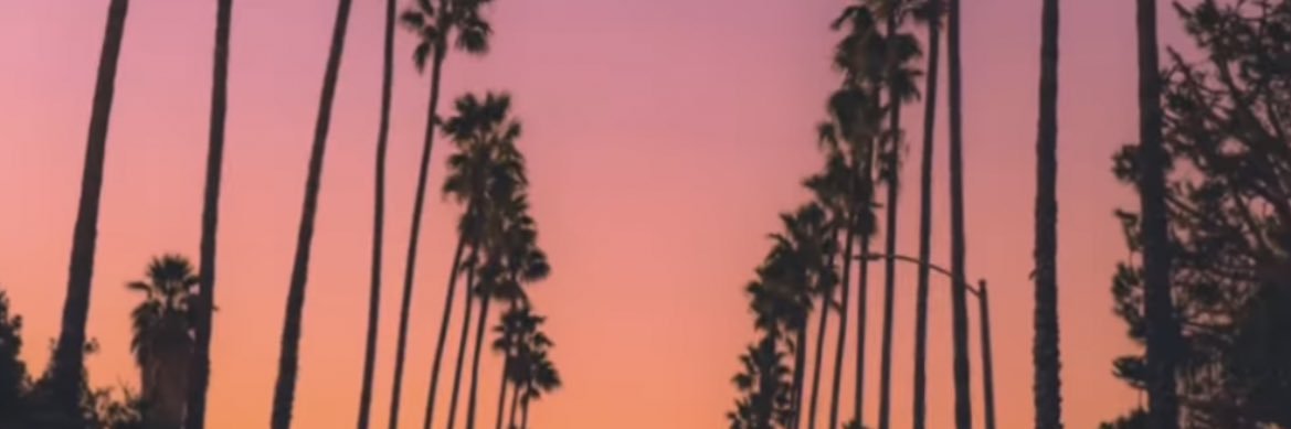 LAJuiceman's profile banner image