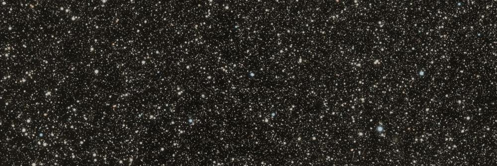 Billybunchonumbers banner