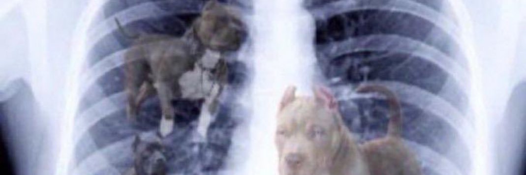 please stop talking banner