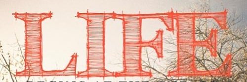 yellowbmc's profile banner image