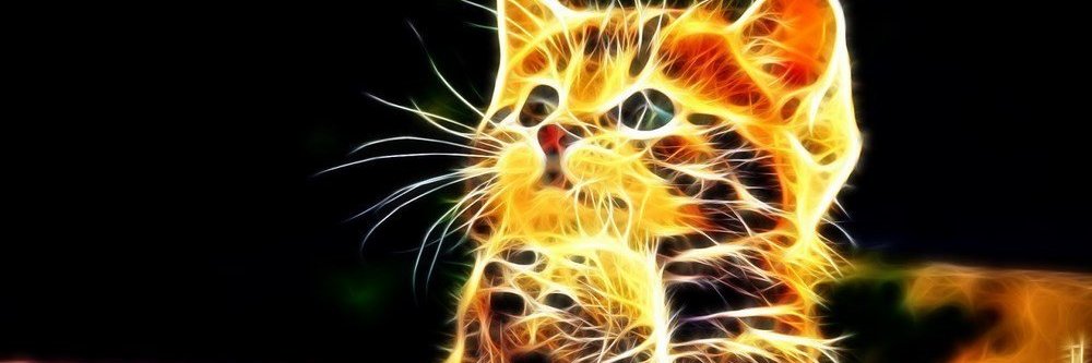 lethuong352's profile banner image