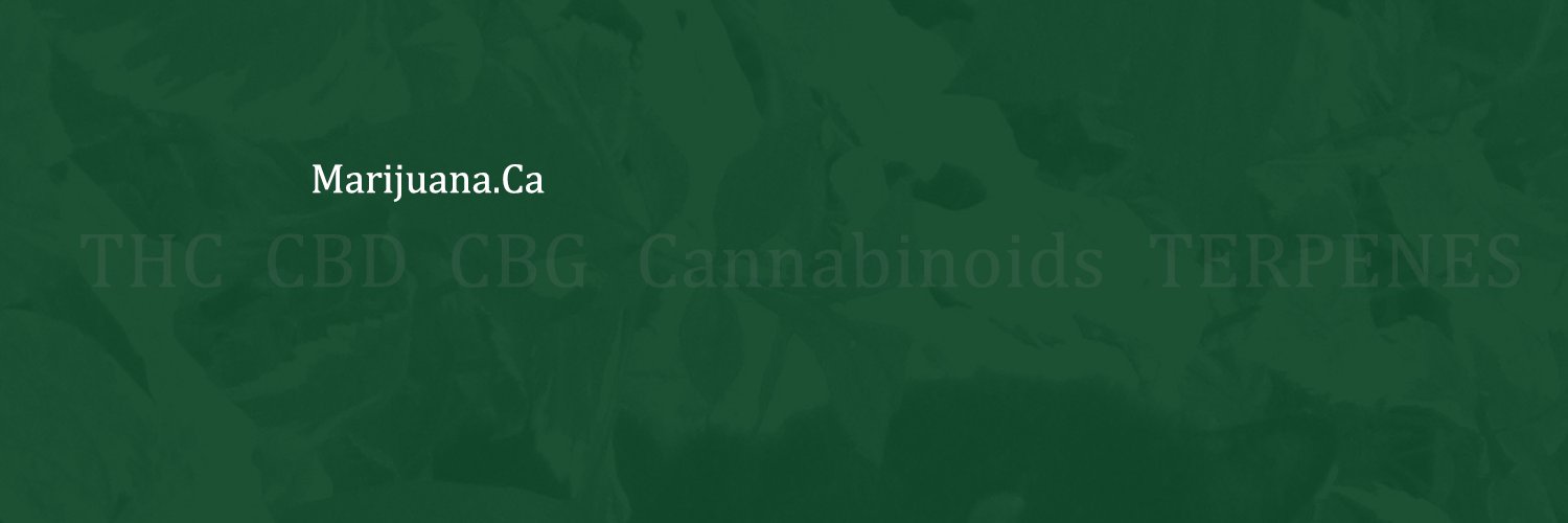 420.Vision ___ 🌻 banner