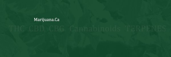 MarijuanaCa Profile Banner