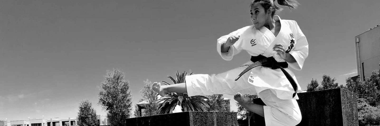 ShugokiKarate's profile banner image