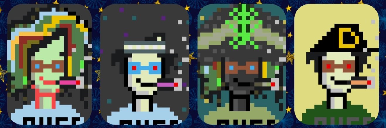 ZoinkedPunks.eth banner