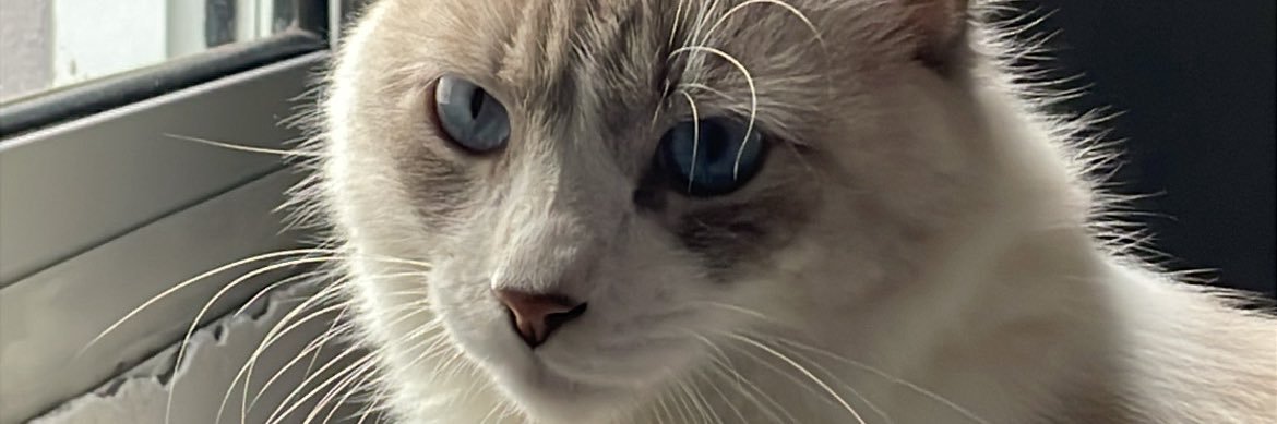 imafe_'s profile banner image