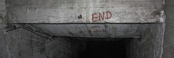 𝑩𝒆𝒂༒︎𝒓𝒊𝒛 banner