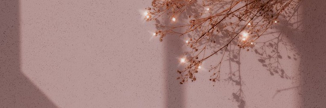 silenttbee_'s profile banner image