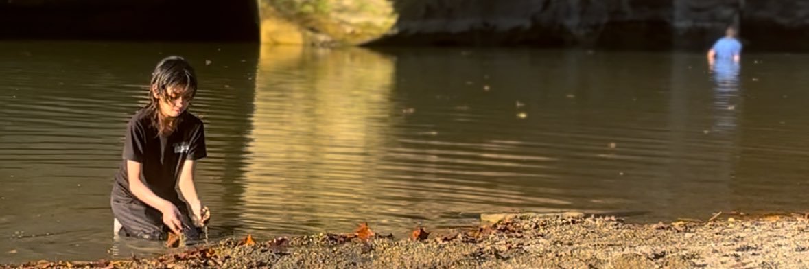 VeeVee Free Fox 🦊 banner