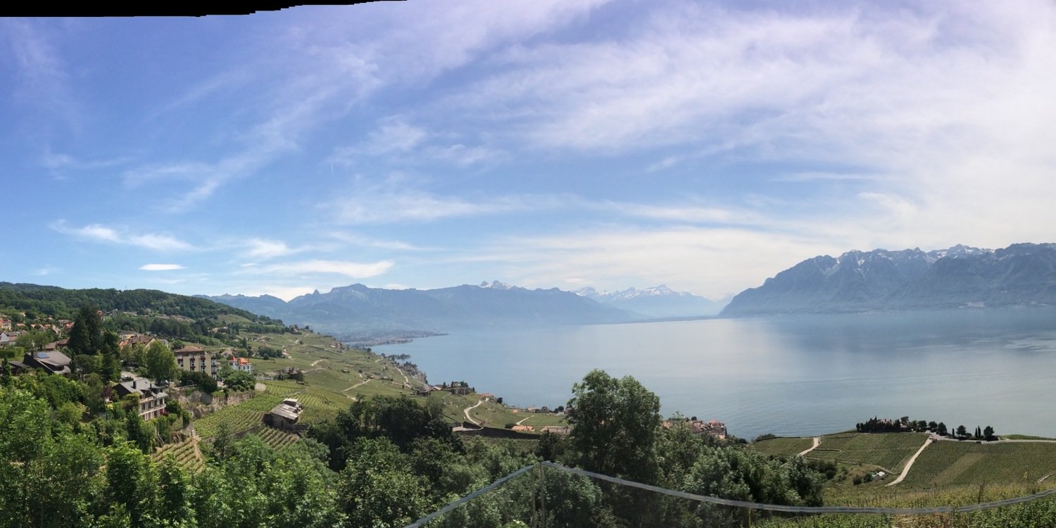 Dilan Aksoy-Yurdagul banner