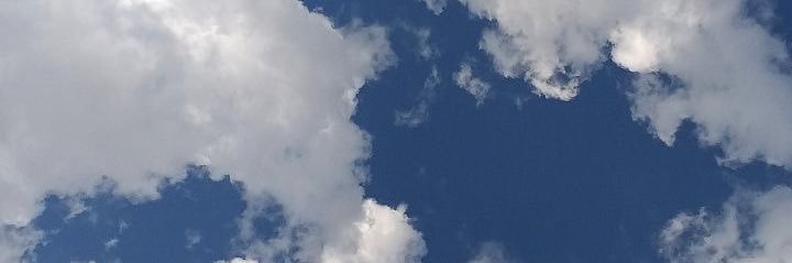 florclemente_'s profile banner image