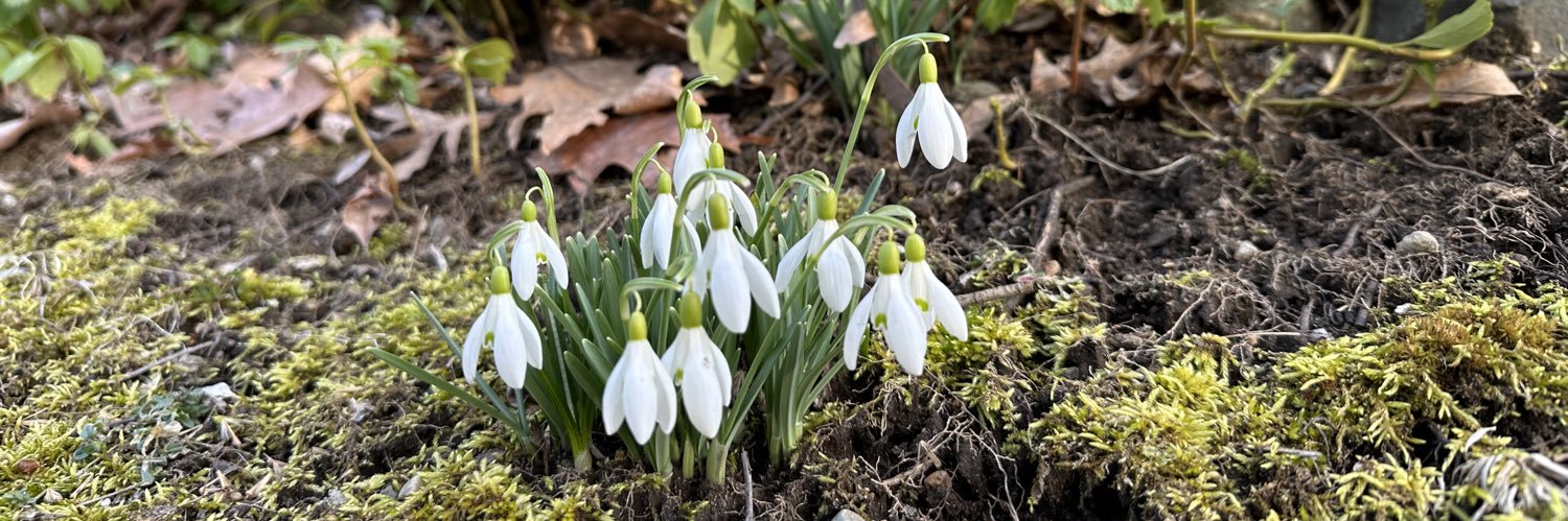 Julie Alterio banner