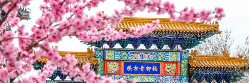 Live in XiQing 常青西青 banner