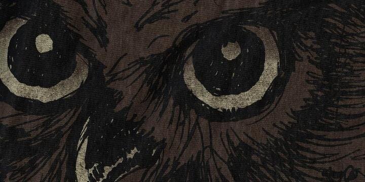 josuagolan's profile banner image