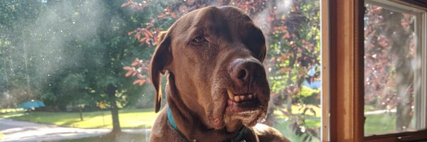 karasilverman Profile Banner