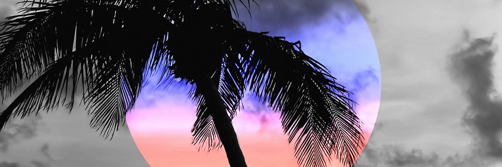 PodanyDominik's profile banner image