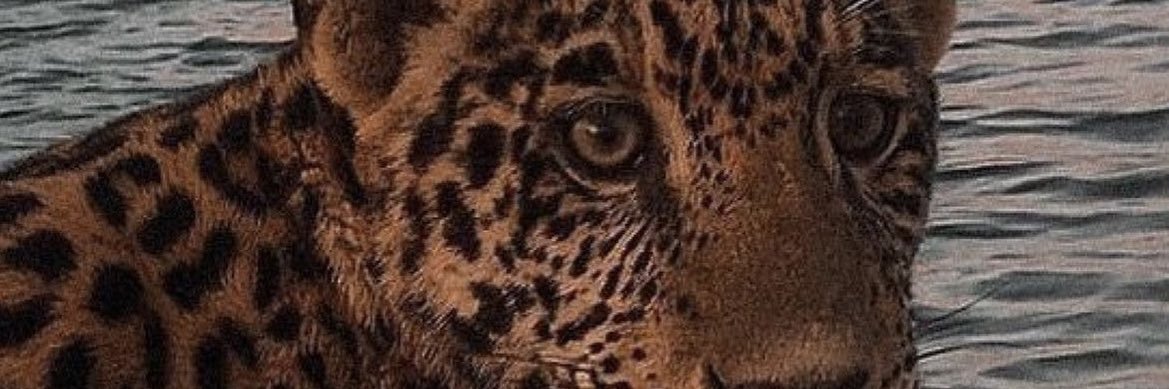ODoggg3's profile banner image