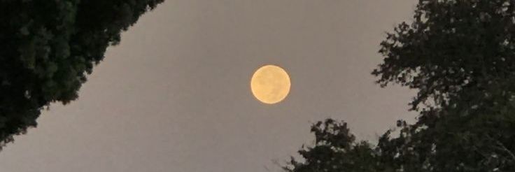 EM banner