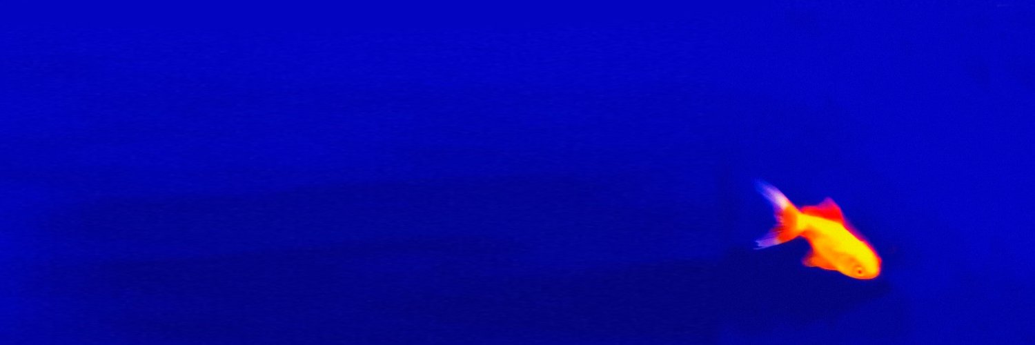 maxwawillo's profile banner image