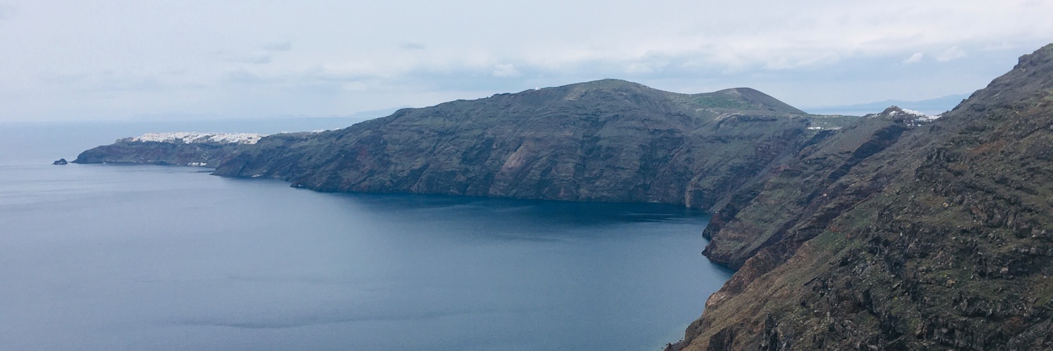 Adriana Saavedra-Simmons banner