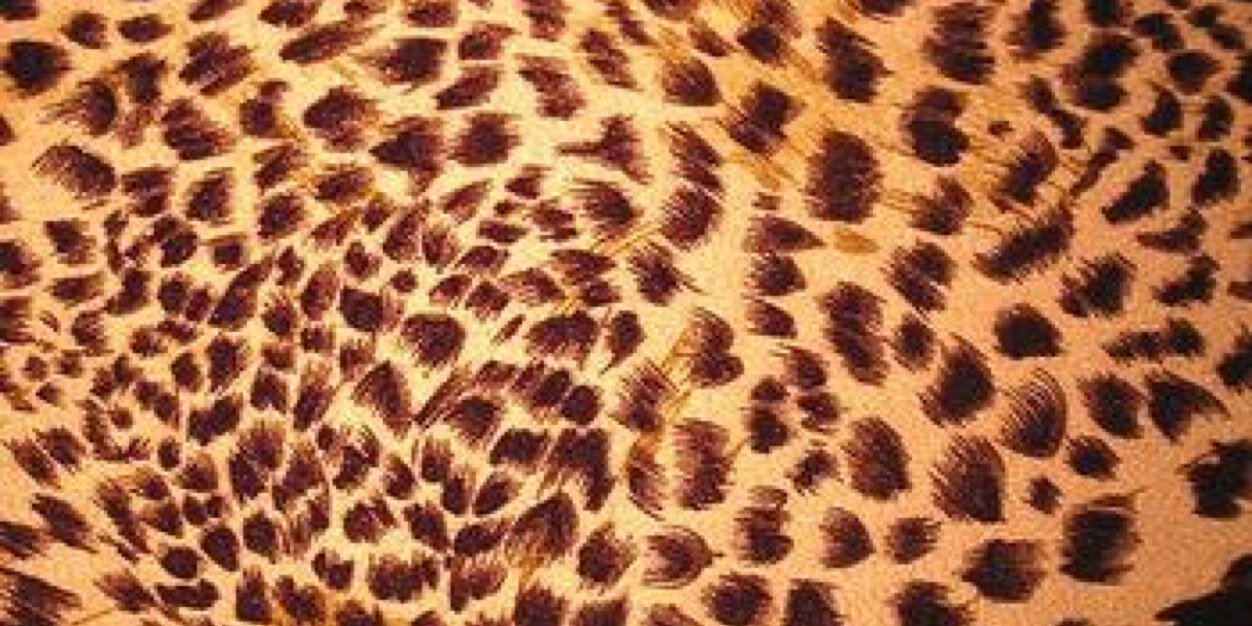 GonzalezSammm's profile banner image