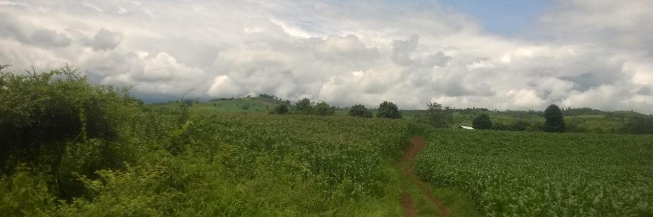 vk9111's profile banner image