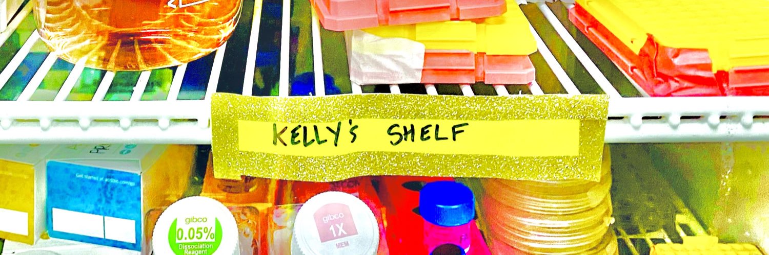 Kelly Clemenza banner