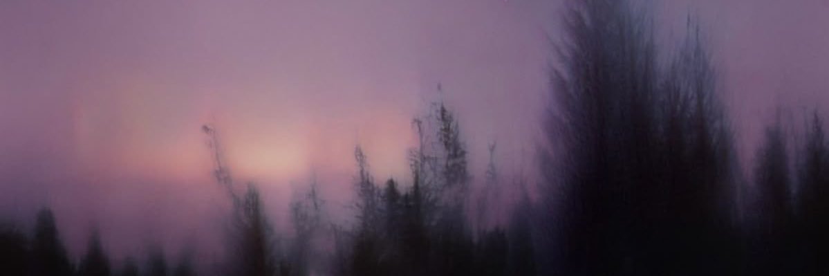 testigodemon's profile banner image