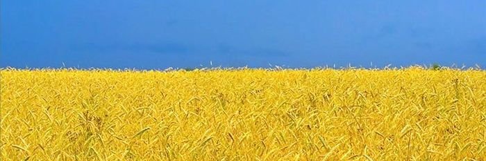 Надежда No war! Victory for Ukraine!🇵🇱🤍💙🤍's banner