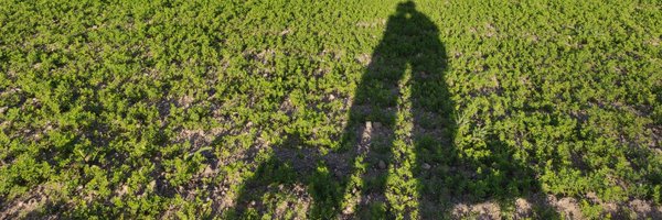 RonenStoff Profile Banner