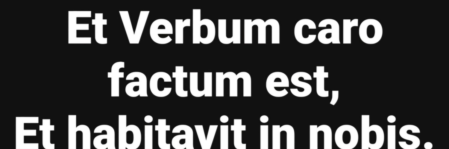 It's OK To Be White banner