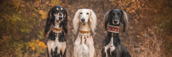 akcdoglovers Profile Banner