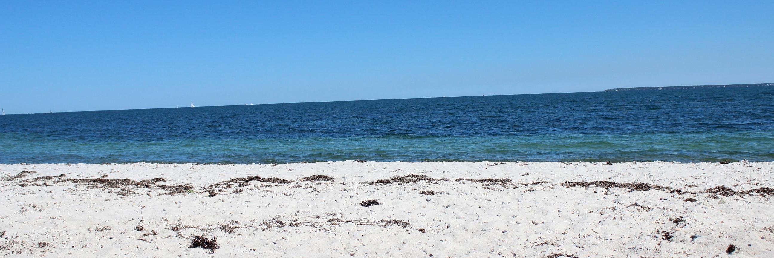 Praneeth Chakravarthula banner