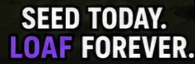 LOAF_on_SOL's profile banner image